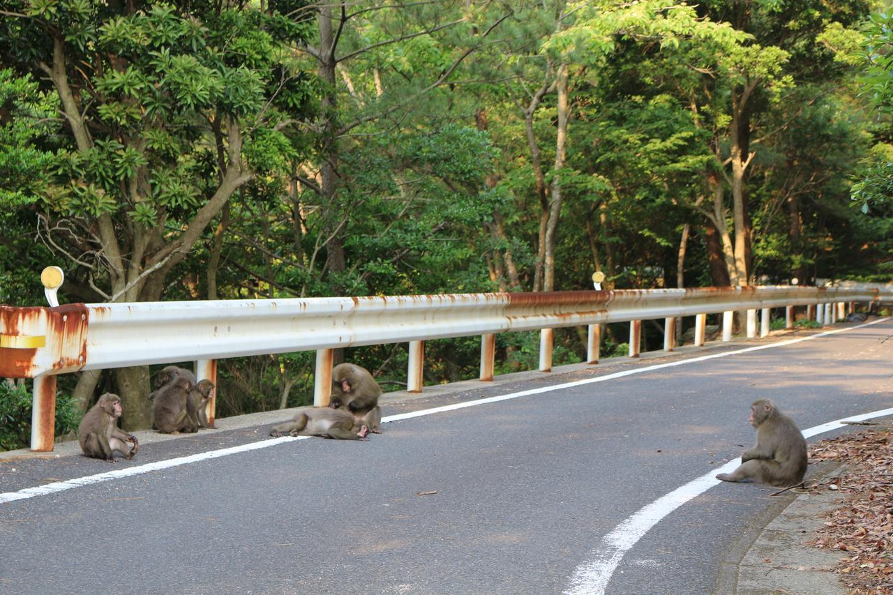 ยุกุซุงิ เฮาส์ Villa ยากูชิมา ภายนอก รูปภาพ